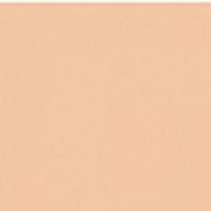 Paint and Paper Library Coral II Paint